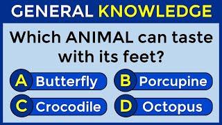 How Good Is Your General Knowledge? Take This 50-question Quiz To Find Out! #challenge 24