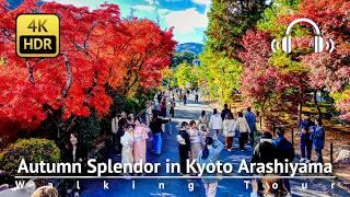 Autumn Splendor in Kyoto Arashiyama: A Walk Through Vibrant Foliage and Bamboo Groves