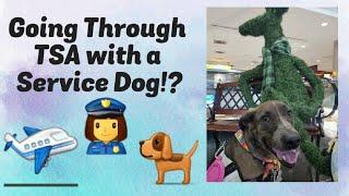 TSA with a Service Dog | Flying with a Service Dog Tips