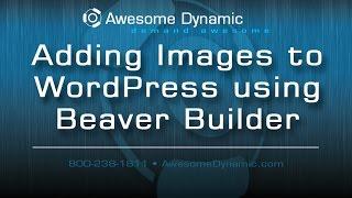 How to Add Images to WordPress using Beaver Builder