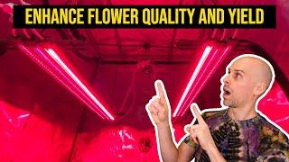 Mars Hydro UV + Deep Red + IR Supplemental LED Grow Light Overview