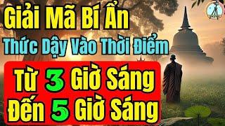 Bí Ẩn Thức Dậy Từ 3 Đến 5 Giờ Sáng : Góc Nhìn Phật Giáo Và Y Học Phương Đông , Đến Góc Nhìn Khoa Học