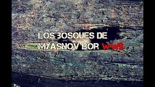 El misterio de los bosques de Myasnov Bor WWII