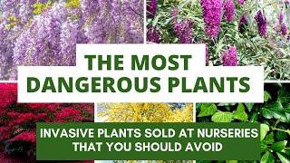 The Most Dangerous Plants You Should NEVER Buy from Nurseries