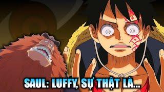 【One Piece 1133+】Saul tiết lộ cho Luffy về vai trò Nika và Chính phủ đen tối?