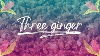 Three Ginger tea | Pukka Herbs