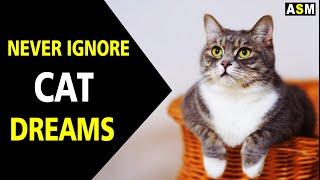 What does cat dream meaning | Dream interpretation |