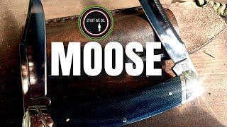 Rough Ryder Denim Micarta T10 Carbon Large Moose Folding Knife and interesting facts about MOOSE!