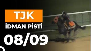 Adana İdman Pisti 08/09/2024 Pazar