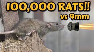 100,000 Rats in an Infested Warehouse!