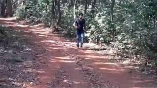 Arvind Shrivastav - Walking in the Jungle , Matheran