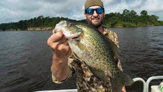 Live Scope Crappie Fishing | Toledo Bend Sac Au Lait fishing | Catch and Cook Crappie Recipe