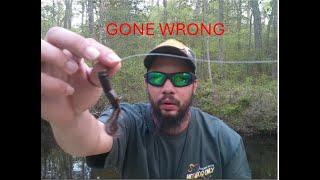 FISHING THE NEW 3 INCH KARATE CRAW FROM LUNKER CITY! (1 LURE CHALLENGE)