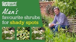 Five shrubs for shade | Alan Titchmarsh