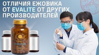 Чем Ежовик от EVALITE выделяется среди конкурентов?