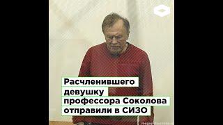 Расчленившего аспирантку Анастасию Ещенко историка Олега Соколова отправили в СИЗО | ROMB