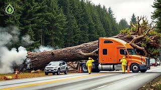 Dangerous Idiots Truck & Heavy Equipment Fails Compilation | Extreme Truck Idiots at Work #55