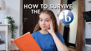 My IB experience | how to survive the 2 years