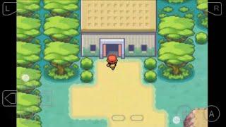 How to find the SECRET HOUSE/HM-Surf in safari zone - Pokémon
