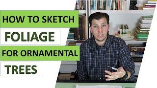 How To Sketch Foliage For Ornamental Trees