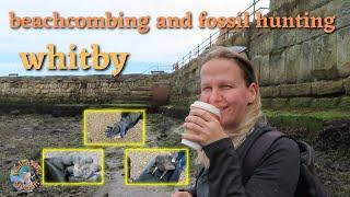 beachcombing Whitby and fossils