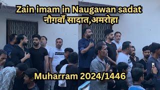 Zain Imam in Naugawan Sadat.Naugawan Sadat azadari 2024/1446 hijri #muharram #azadar #noha #amroha