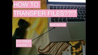How to transfer your files from DJI Osmo Pocket 2 to MacBook | September 2022 | Patterns and Rhythms