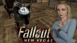 ВЫМОГАТЕЛЬСТВО У ВХОДА В СТРИП - Fallout New Vegas #11