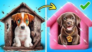 I TOOK A PUPPY FROM THE STREET  *Gadgets and Hacks for Pet Owners*