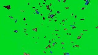 Green Screen Butterflies Free - Fly Through a Butterfly Tunnel! Full HD / 1080p