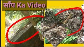 #Snake || #SnakeVideo