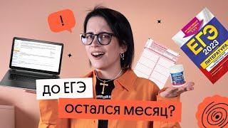 ОСТАЛСЯ МЕСЯЦ ДО ЕГЭ ? ЧТО ДЕЛАТЬ? | ЕГЭ ЛИТЕРАТУРА 2023