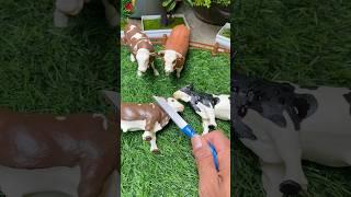 POTONG SAPI IRFAN HAKIM #shorts #shortvideo #sapi #animals