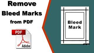 How to Remove Bleed Marks from PDF with Adobe Acrobat Pro 2020