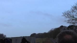 Buzzards & 2 Goshawk fly 8Feb15 Norfolk UK 956a