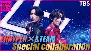 COUNT DOWN TV LIVE!LIVE! ️ENHYPEN × &TEAM️ Special collaboration【TBS】