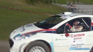 Timo Salonen/Peugeot -Autoglym Rally 2017
