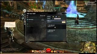 Guild Wars 2 - The Black Lion Trading Company And You! (Interface / Details Guide)