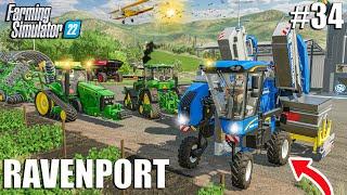 First GRAPE HARVEST w/ the NEW BRAUD 9700L | Ravenport #34 | Farming Simulator 22