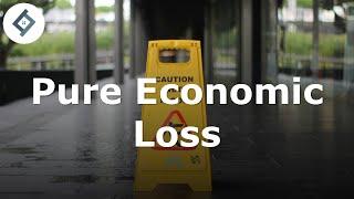 Pure Economic Loss | Law of Tort