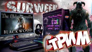 Чем New World лучше Teso? ТЕСО большая скидка в стим! don surweek