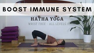 Hatha Yoga to Stimulate & Boost Immune and Lymphatic Systems | Detox & Purify | All Levels