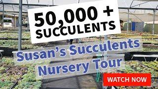 Succulent Nursery Tour | Susan's Succulents | Australia Edition