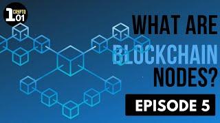 What are Blockchain Nodes? | Crypto 101 | Episode 5