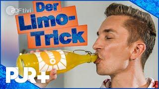 Limo-Experiment zum Nachmachen - PUR+ I ZDFtivi