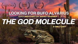 Documentary Bufo Alvarius & 5-meO- DMT  by Mario Garnier. Documental "Looking for Bufo Alvarius"