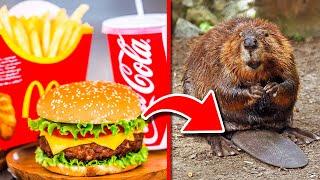 15 Fast Food Facts You DON'T Want to KNOW