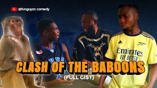 CLASH OF THE BABOONS 