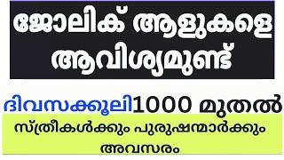 2024 Kerala Job vacancy/latest job vacancy in kerala/kerala job vacancy today/job vacancy 2024 #job