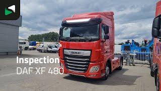 DAF XF 480 - 2019 - BAS World